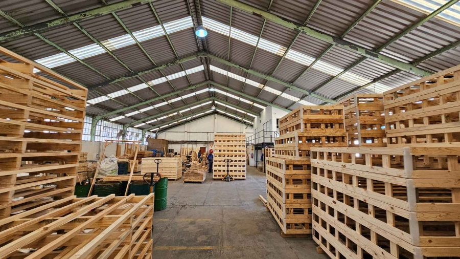 To Let commercial Property for Rent in Epping Industrial Western Cape
